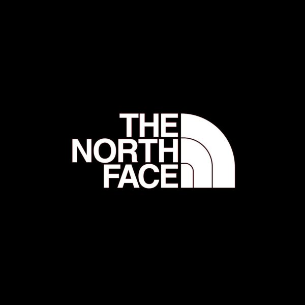 The North face лого