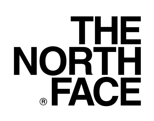 The North face значок
