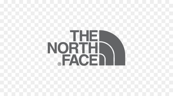 The North face logo