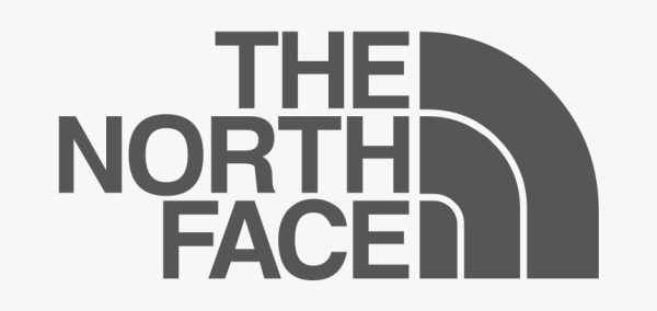The North face логотип