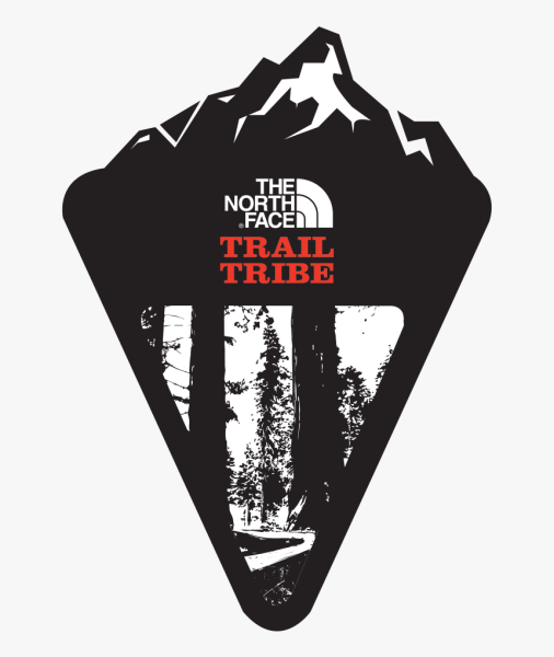 Логотип Норс фейс