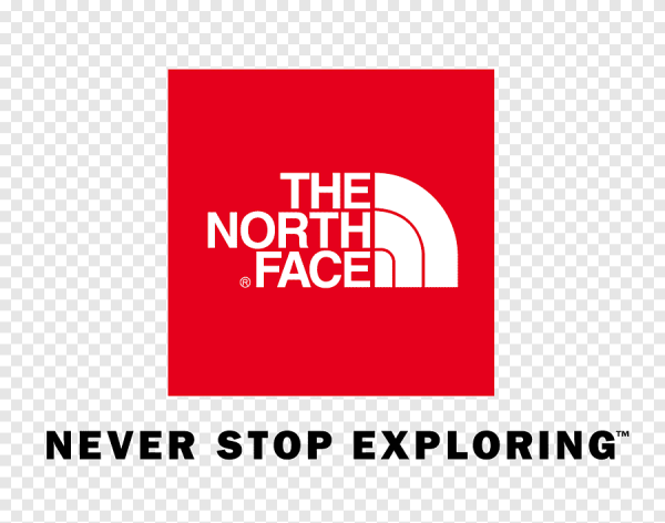 Эмблема the North face 2 полосы