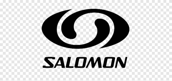 Salomon обувь logo