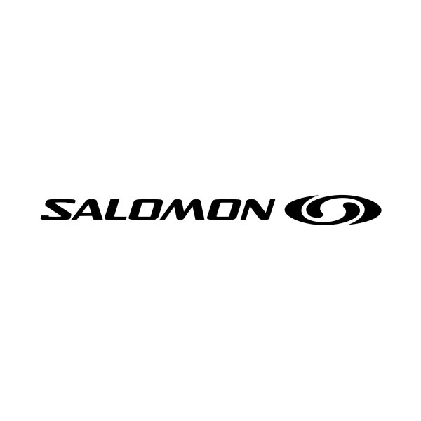 Salomon обувь логотип