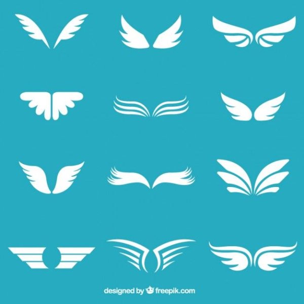 Стилизованное крыло