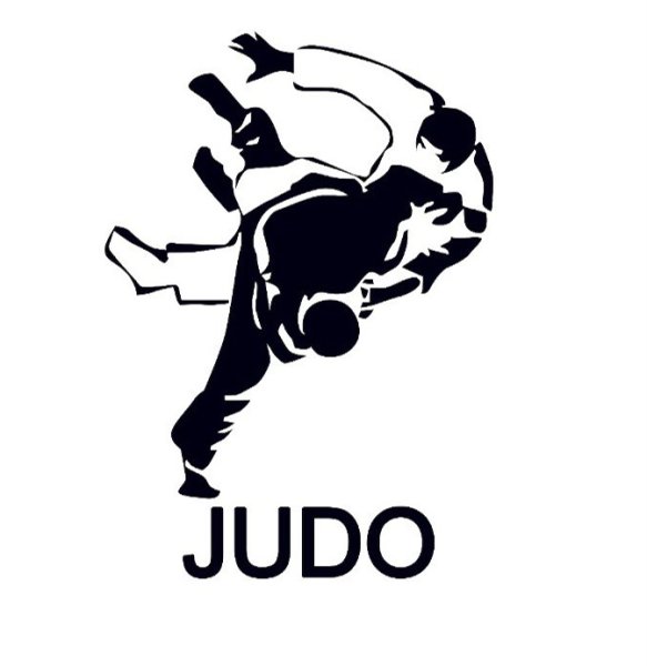 Наклейки дзюдо