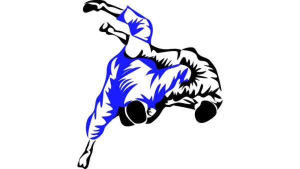 Японские символы дзюдо