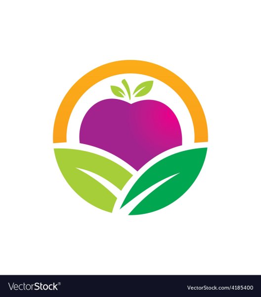 Фрукты вектор