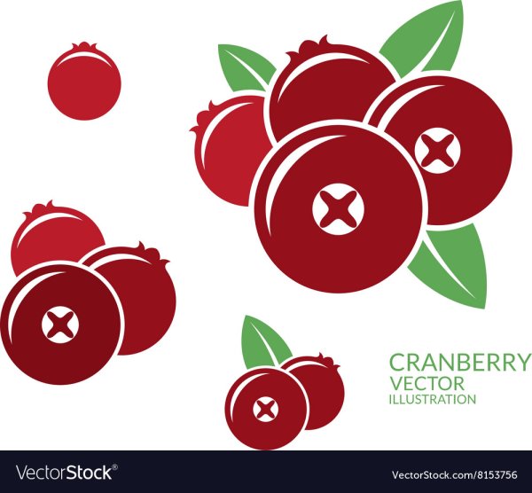 Брусника Векторная Графика