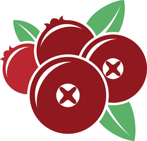 Клюква вектор