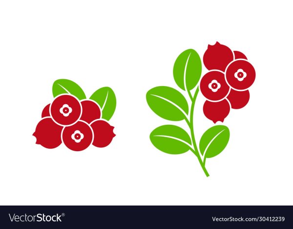 Стилизованная клюква в цвете