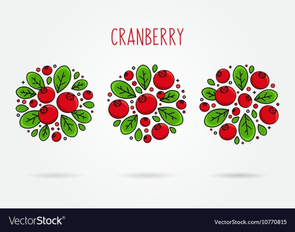 Стилизованные ягоды