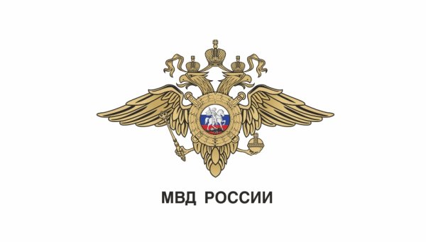 Министерство внутренних дел России МВД РФ эмблема