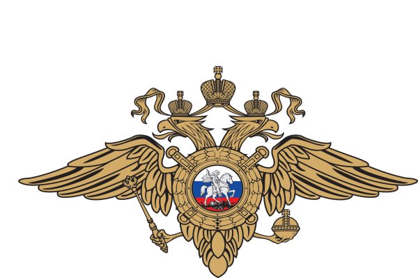 Министерство внутренних дел РФ