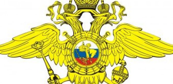 Эмблема МВД без фона