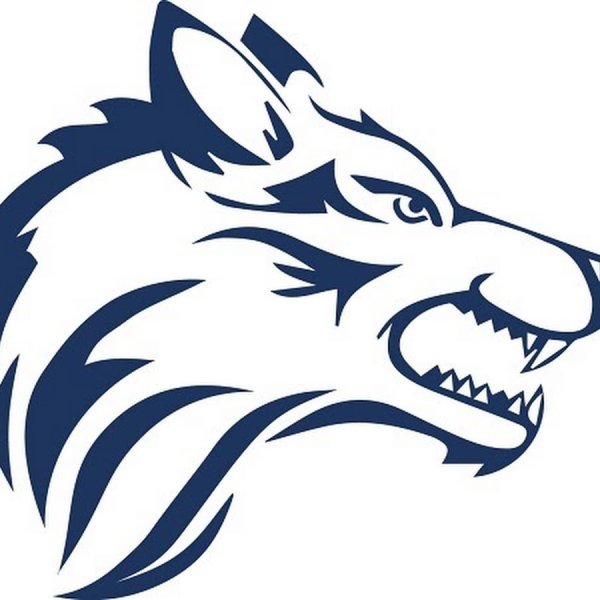 Логотип голова волка