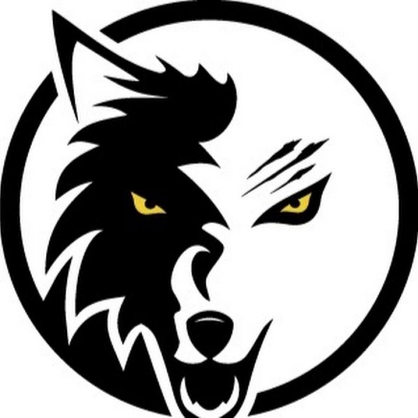 Эскизы логотипов команд