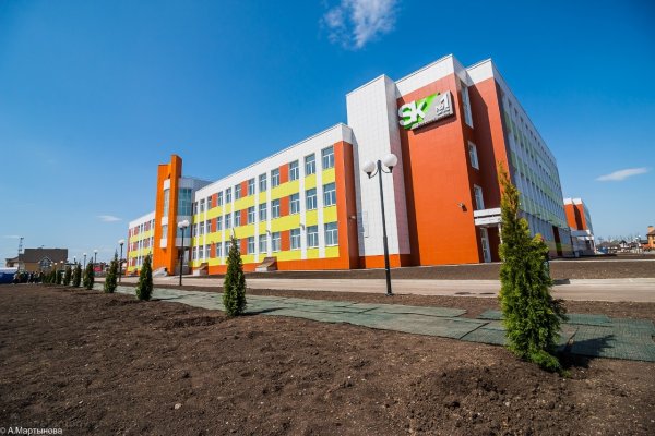 Школа Сколково-Тамбов Тамбов