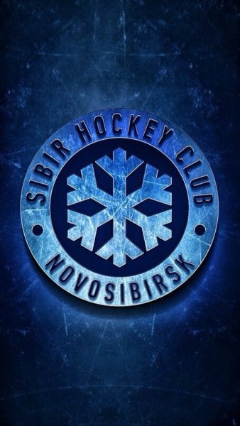 Сибирь хоккейный клуб Снеговик