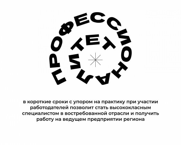 Профессионалитет брендбук