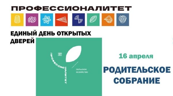 Лого проект профессионалитет