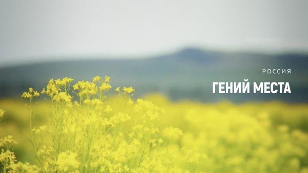 Гений места картинки