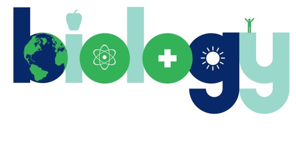 Магнит сеть магазинов логотип