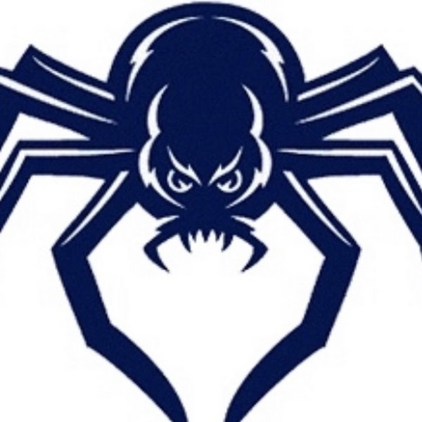 Паук символ