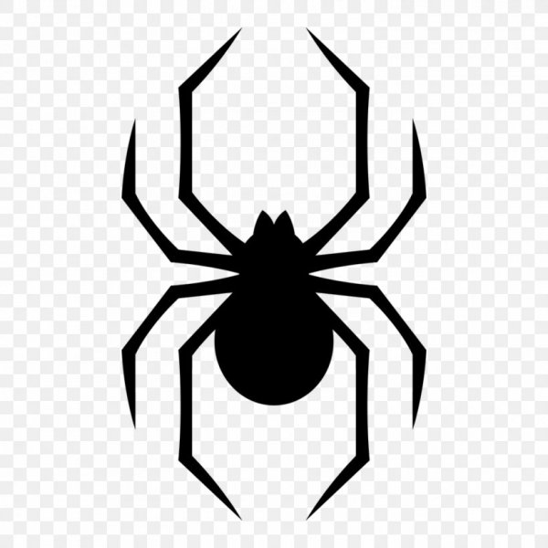 Черная вдова вид сверху