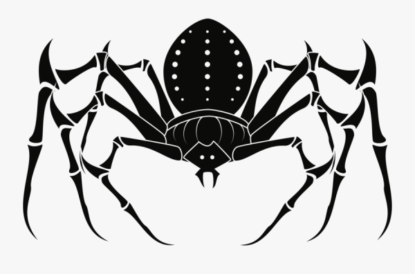 Паук векторное изображение