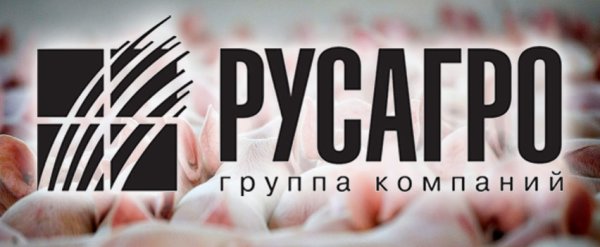 Группа компаний Русагро логотип