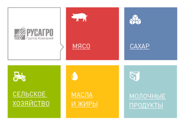 ООО группа компаний Русагро логотип