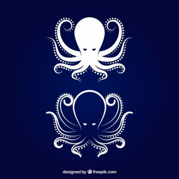 Осьминог символ
