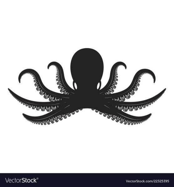 Изображения спрута на эмблемах