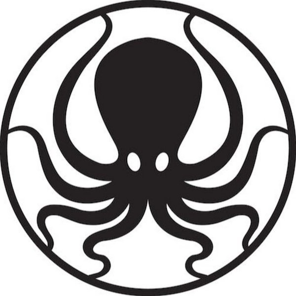 Осьминог стилизация