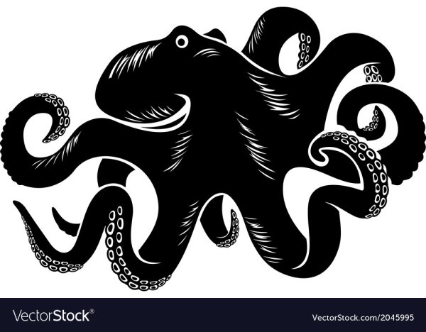 Логотип осьминог Octopus