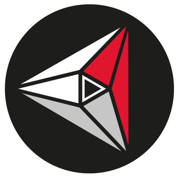 Академия единоборств РМК лого