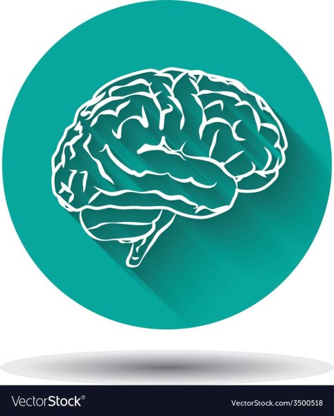 Мозг вектор