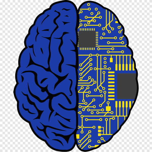 Прозрачный мозг