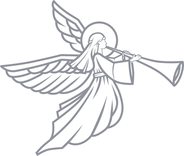 Ангел вектор