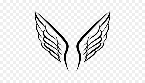 Крылья контур
