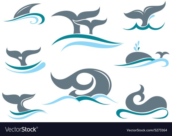 Хвост кита силуэт