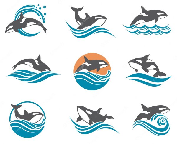 Стилизация кит логотип