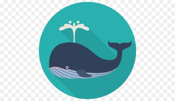 Иконки китов