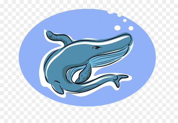 Лого киты голубой