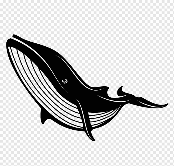 Кит силуэт