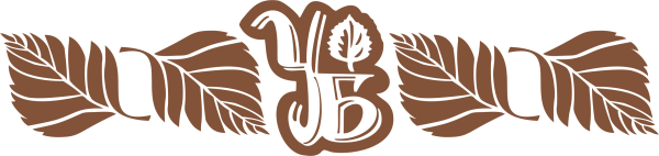 Sauna логотип