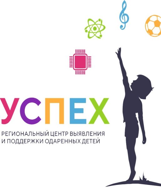 Региональный центр успех