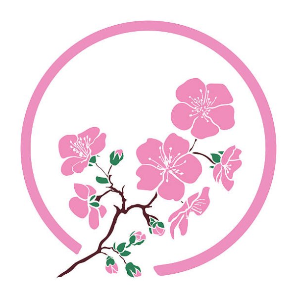 Ветка Сакуры вектор в круге