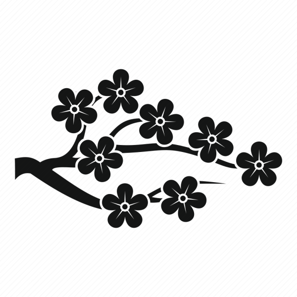 Цветок Сакура иконки на прозрачном фоне